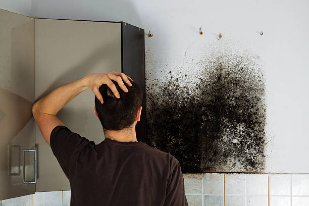 Certified Mold Removal in Onalaska, WI